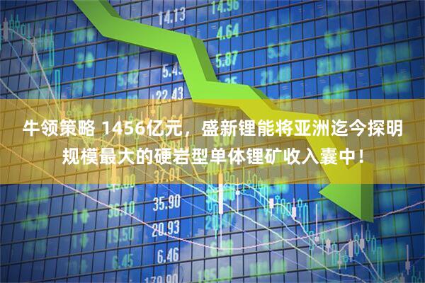 牛领策略 1456亿元，盛新锂能将亚洲迄今探明规模最大的硬岩型单体锂矿收入囊中！