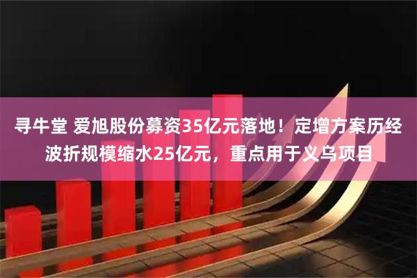 寻牛堂 爱旭股份募资35亿元落地！定增方案历经波折规模缩水25亿元，重点用于义乌项目