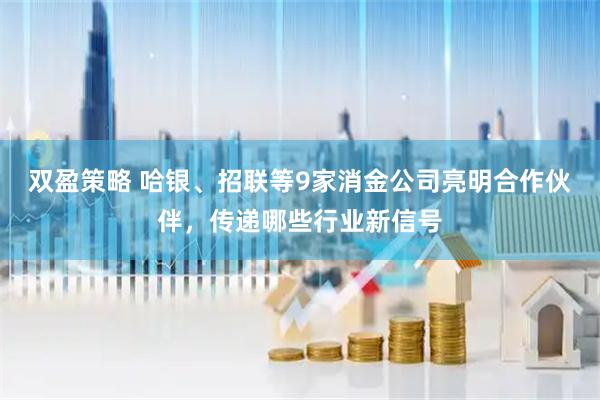 双盈策略 哈银、招联等9家消金公司亮明合作伙伴,传递哪些行业新信号