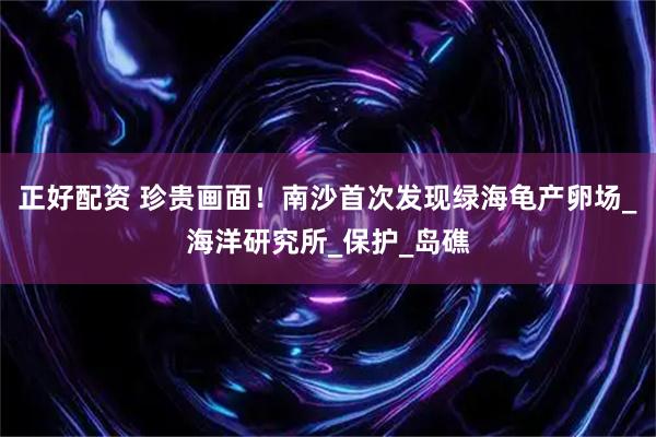 正好配资 珍贵画面！南沙首次发现绿海龟产卵场_海洋研究所_保护_岛礁