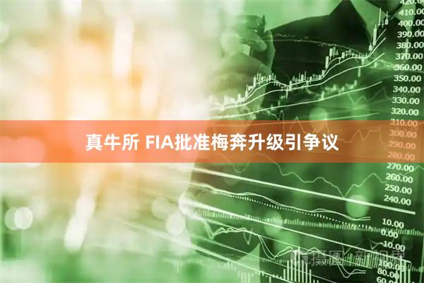 真牛所 FIA批准梅奔升级引争议