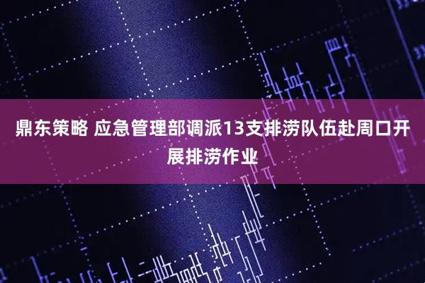 鼎东策略 应急管理部调派13支排涝队伍赴周口开展排涝作业